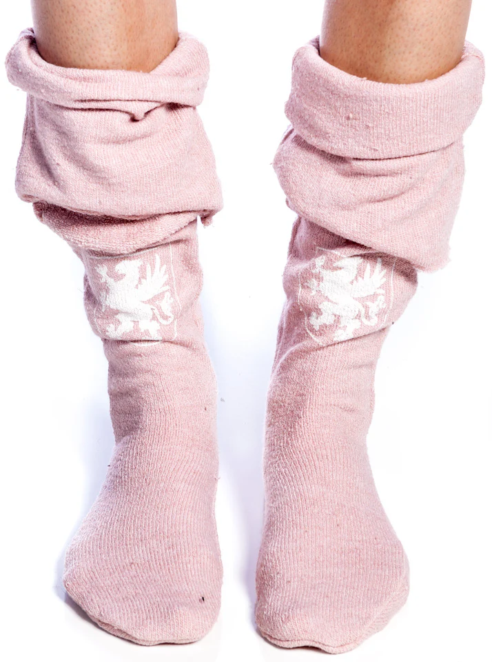 Boarding School Fox Sox - Image 7