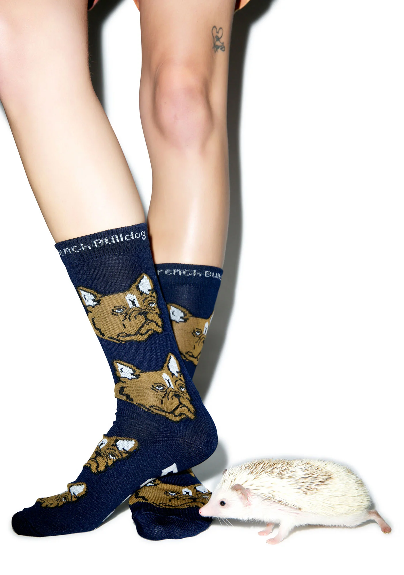 French Bulldog Socks - Image 5