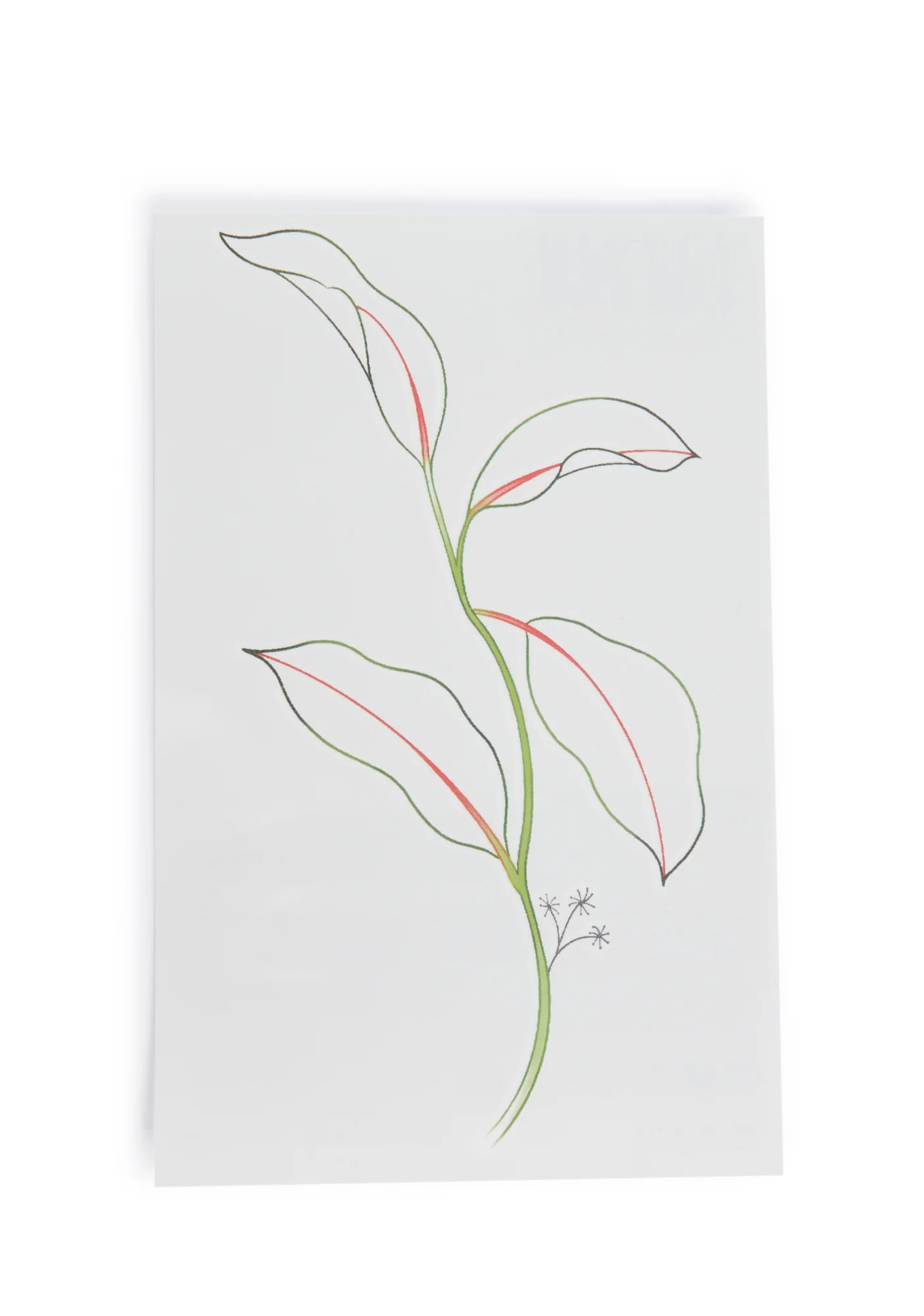 Leaves In Love Tattoo Set - Image 2