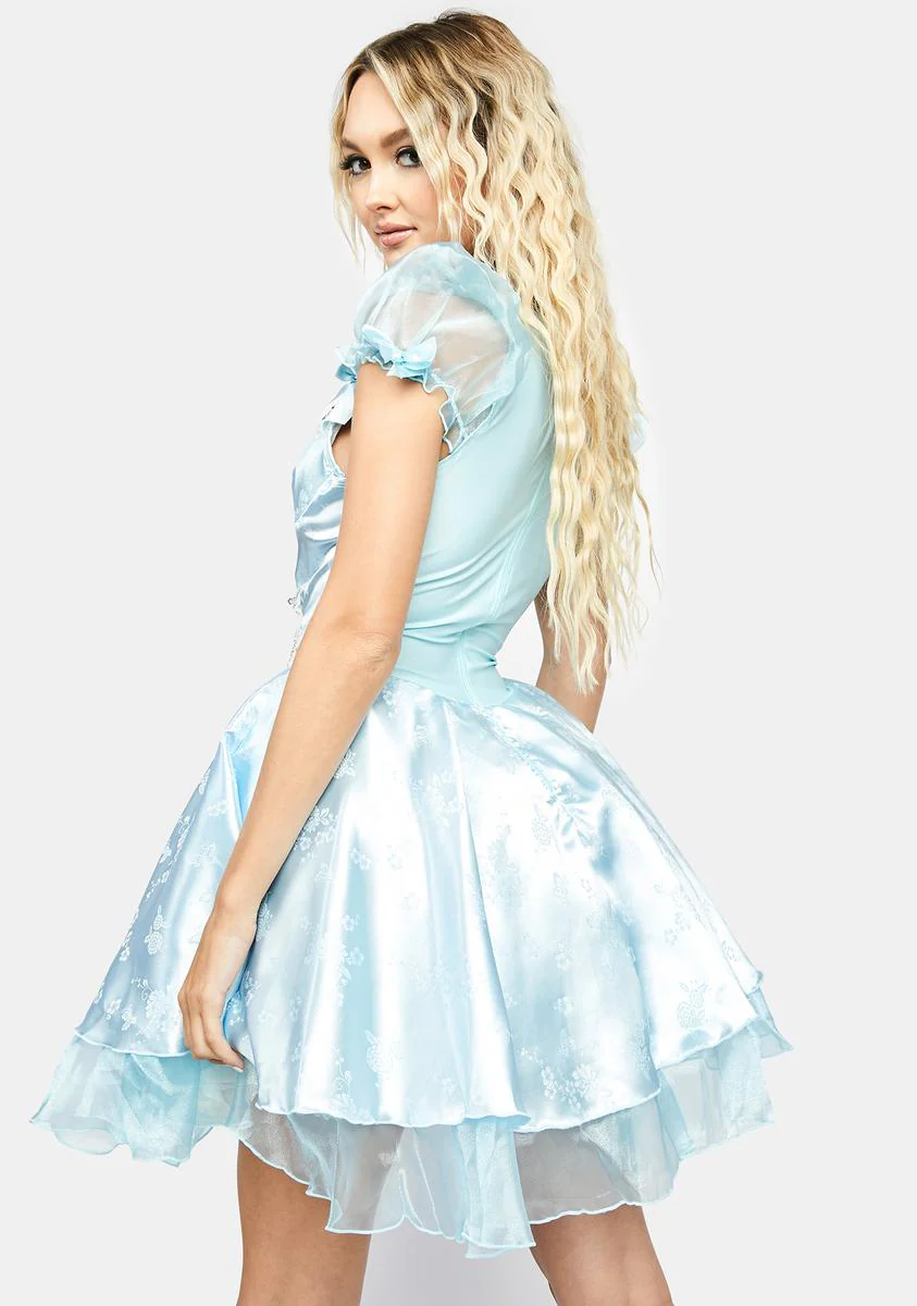 Lost Slipper Princess Costume - Image 4