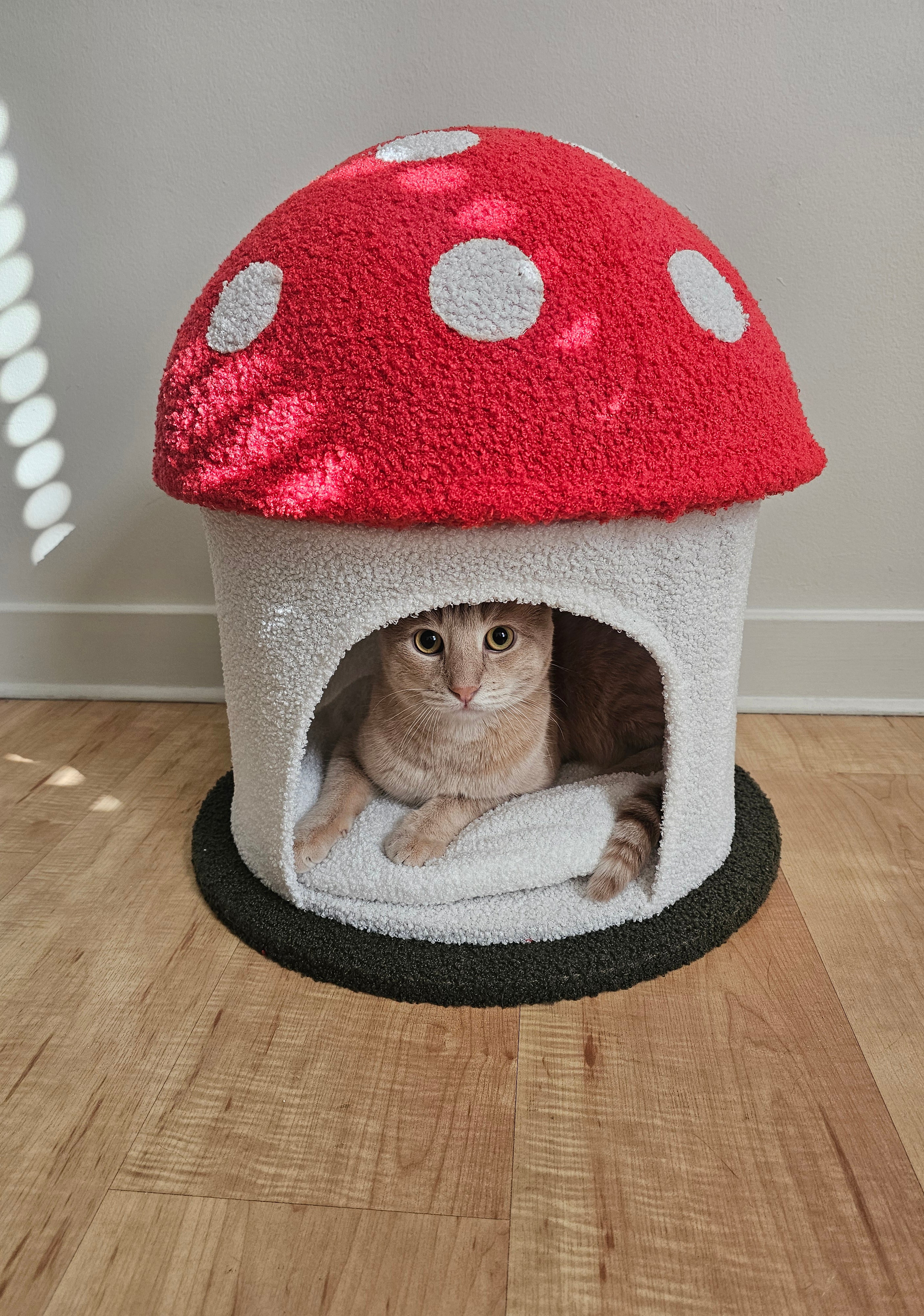 Mushroom Hideaway Cat Condo - Image 2