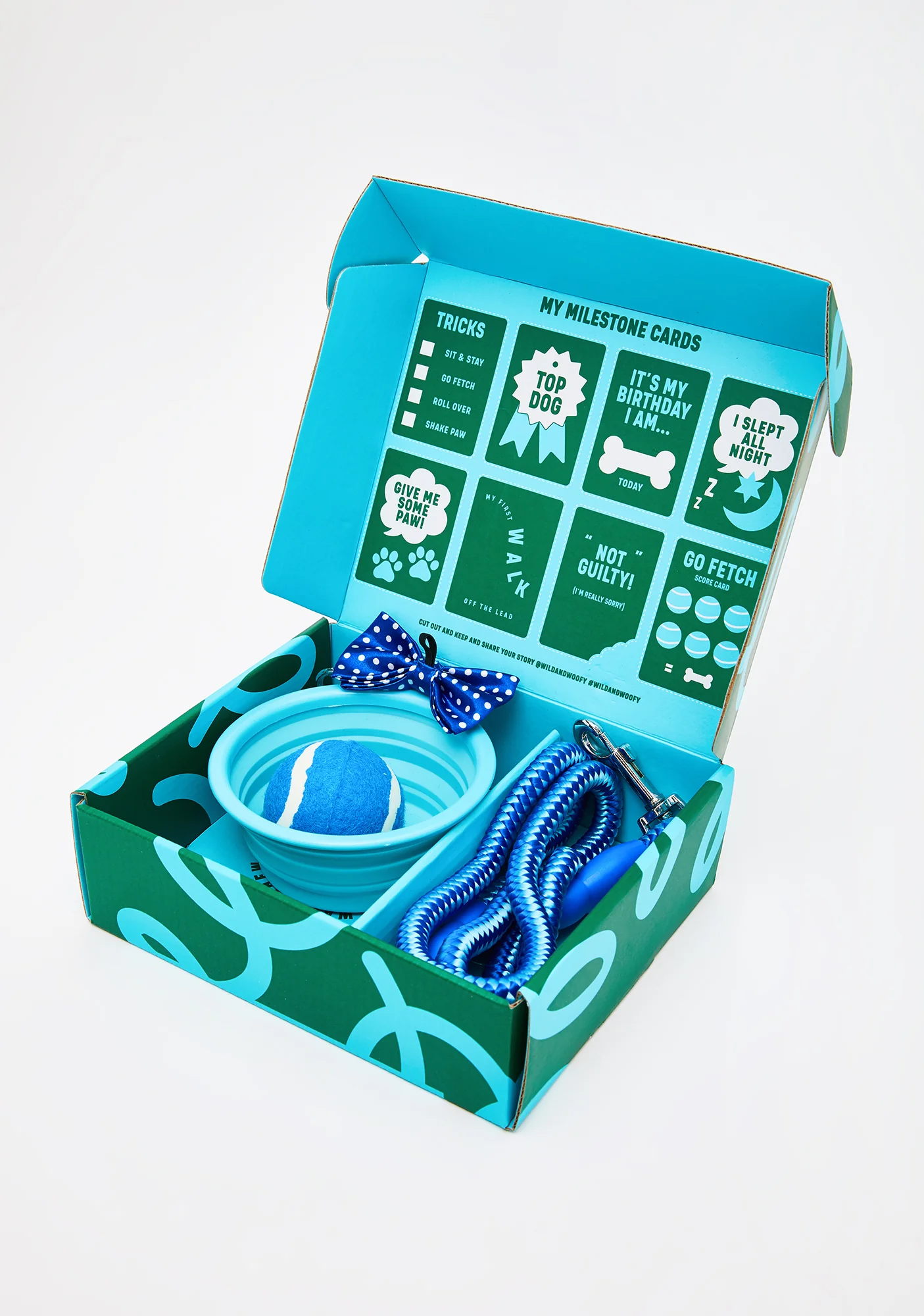 New Dog Starter Kit - Image 2