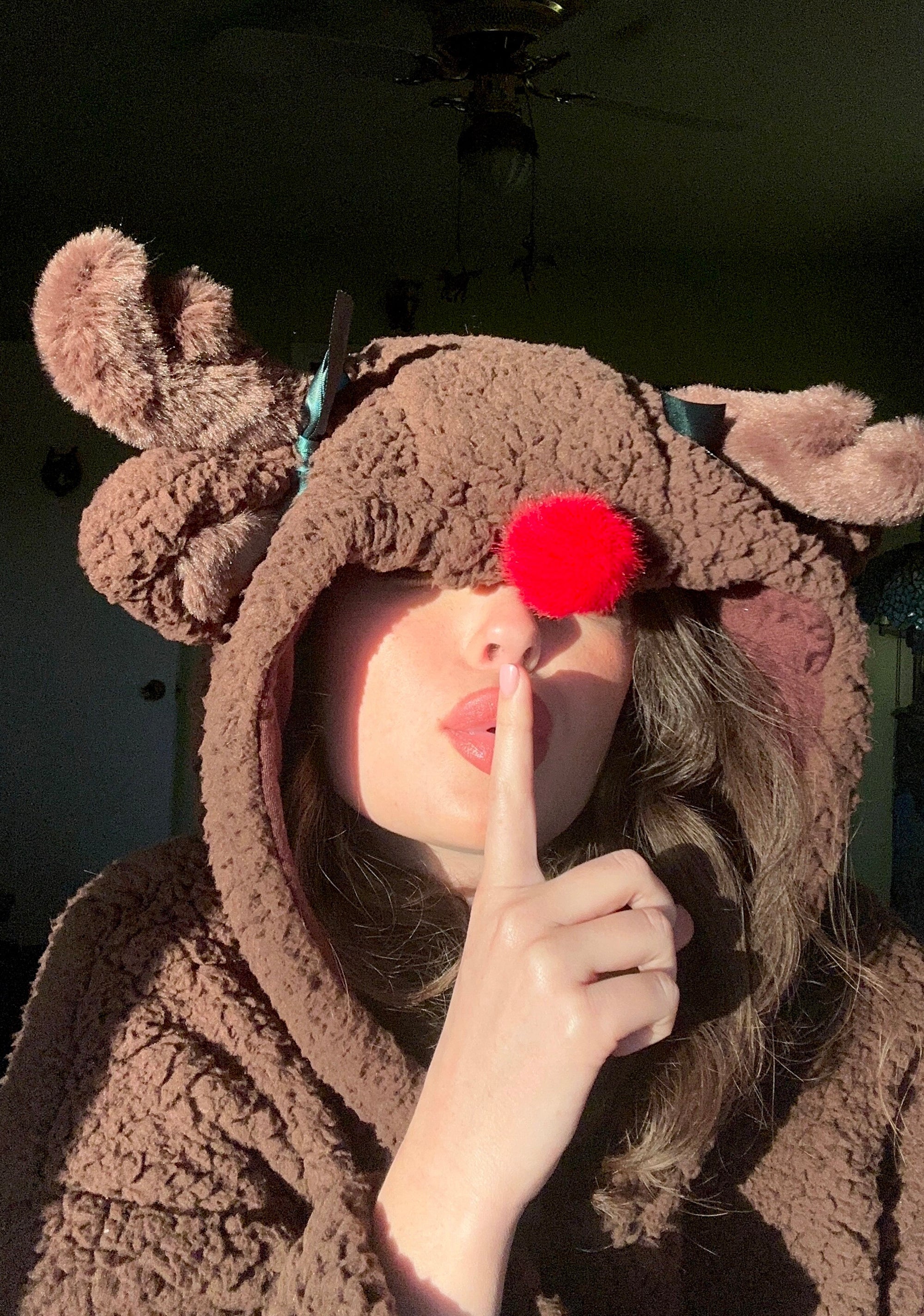 Reindeer Games Sherpa Hoodie - Image 11